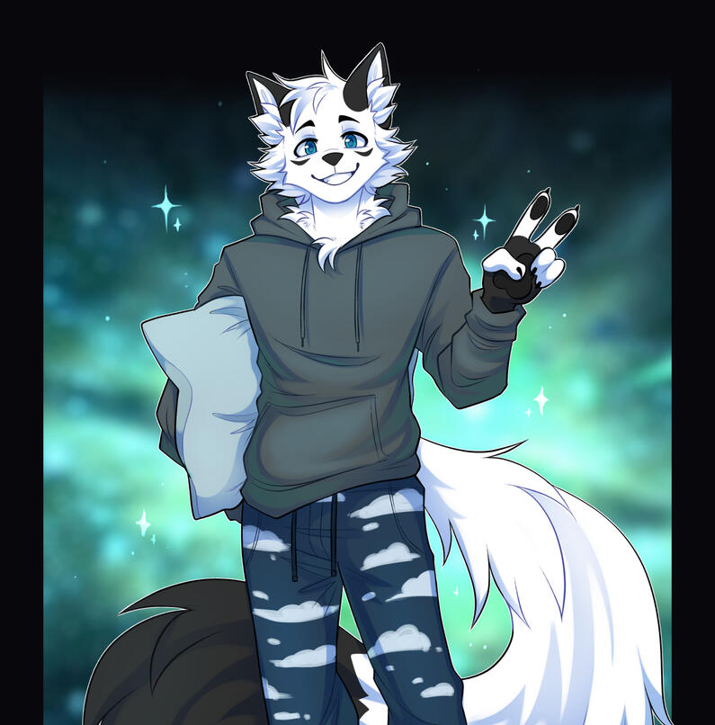 Fullbody 100$
